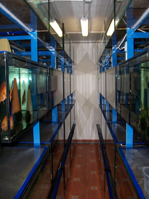 Aquarium MiDa Schober 
